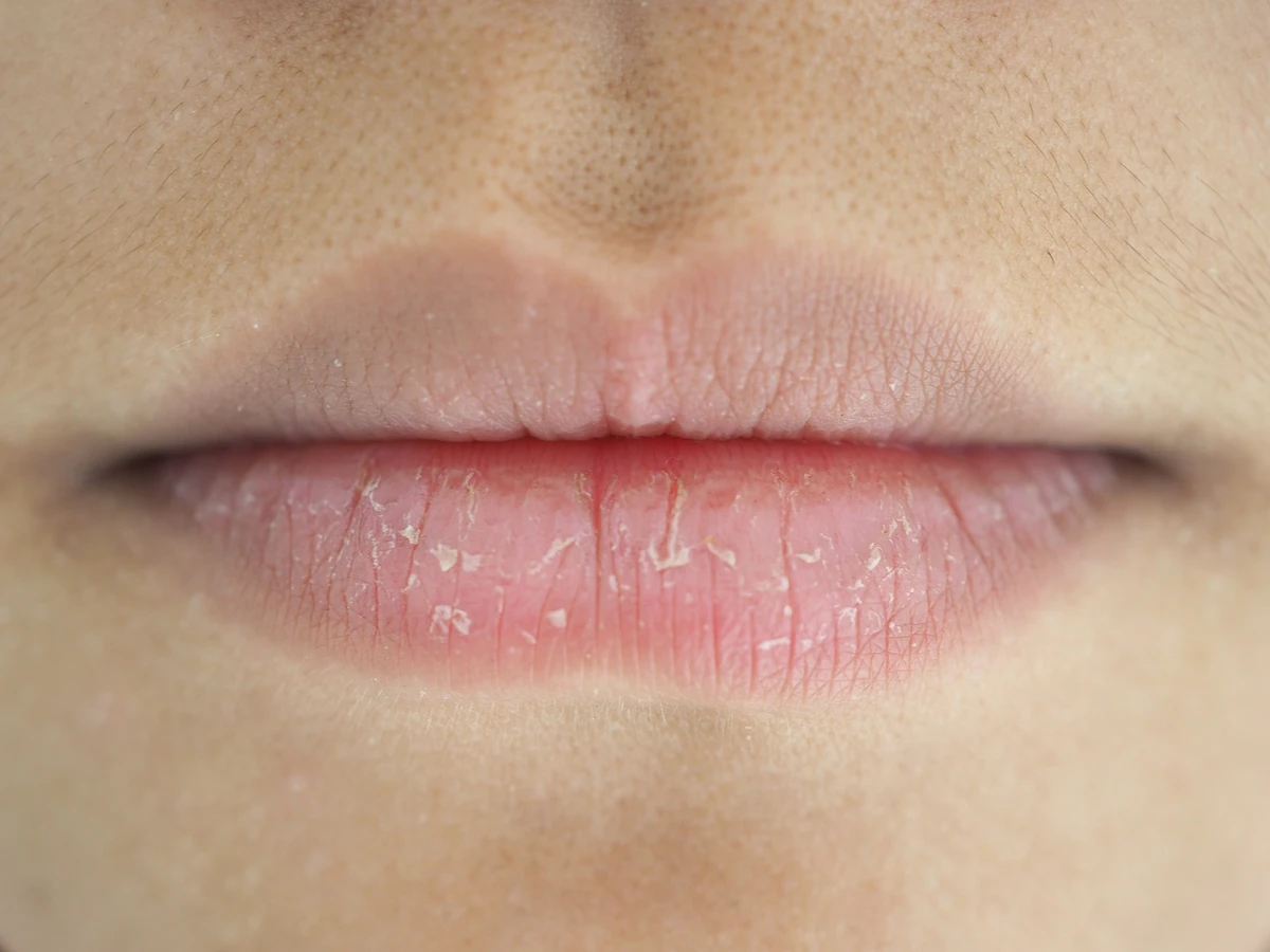 美容と健康のナチュアプレス