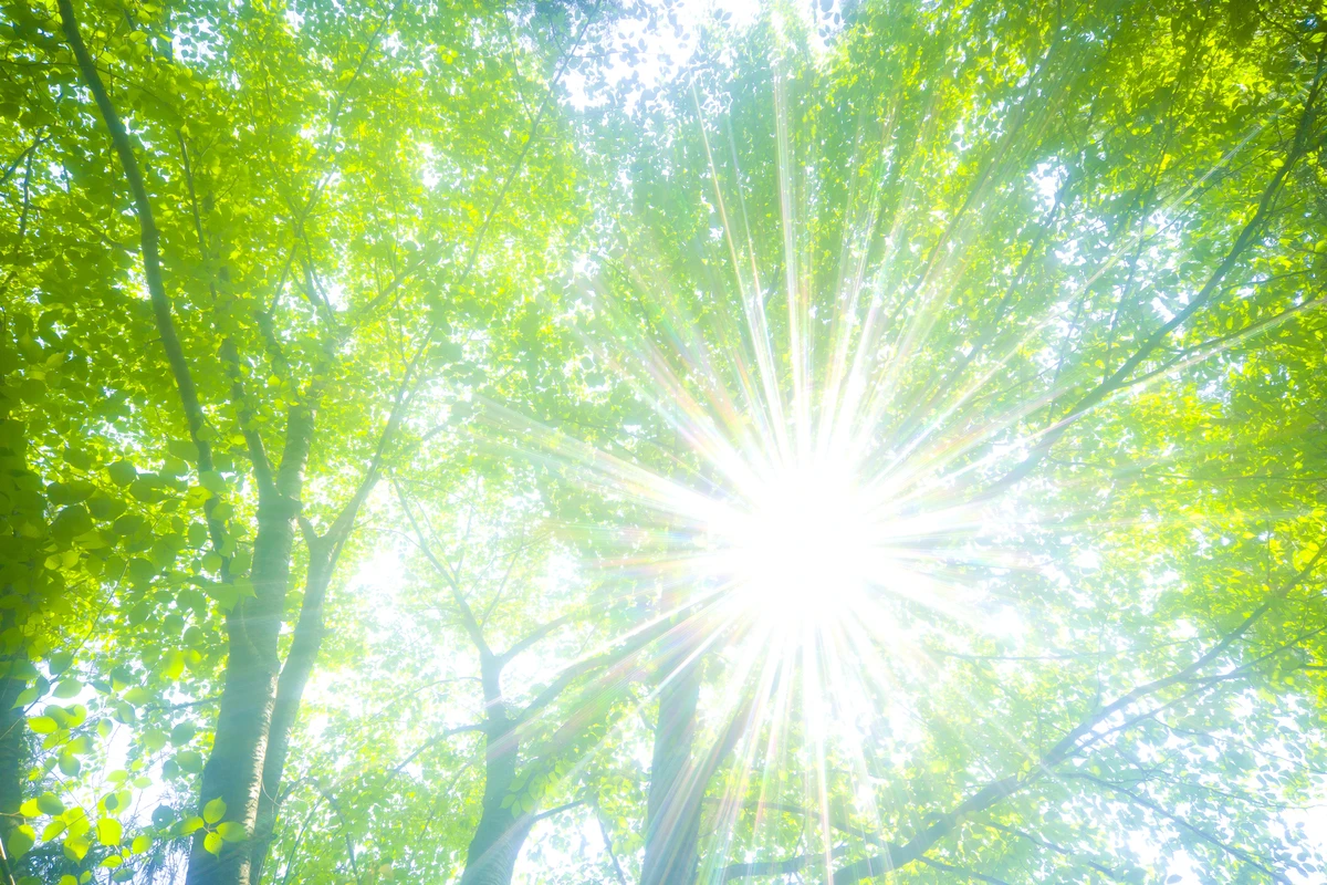 美容と健康のナチュアプレス