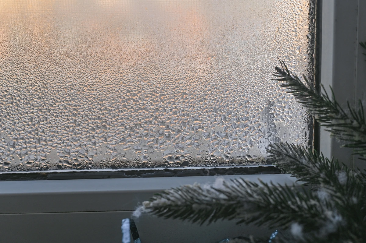 美容と健康のナチュアプレス