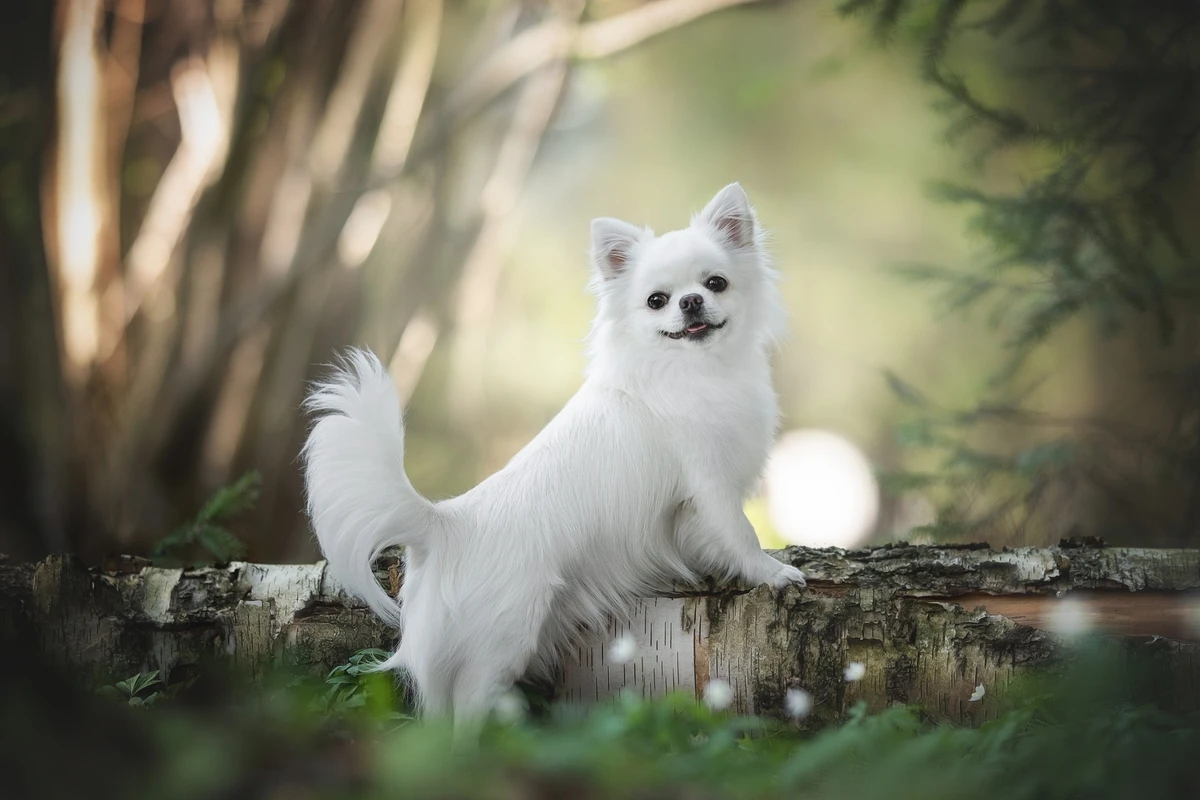 美容と健康のナチュアプレス