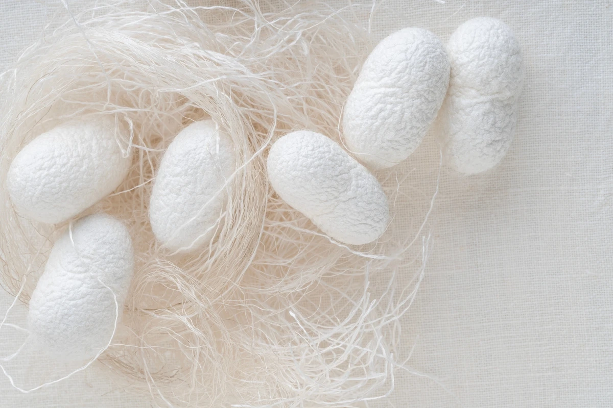 美容と健康のナチュアプレス