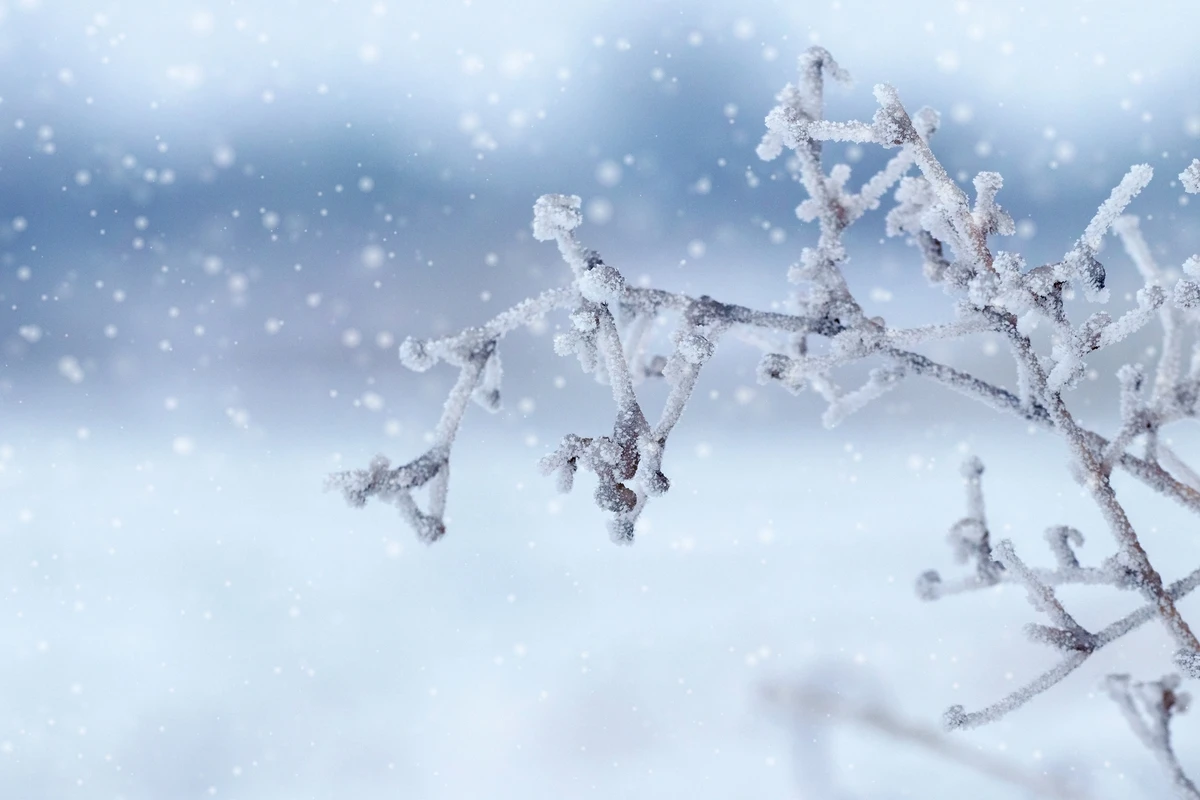美容と健康のナチュアプレス