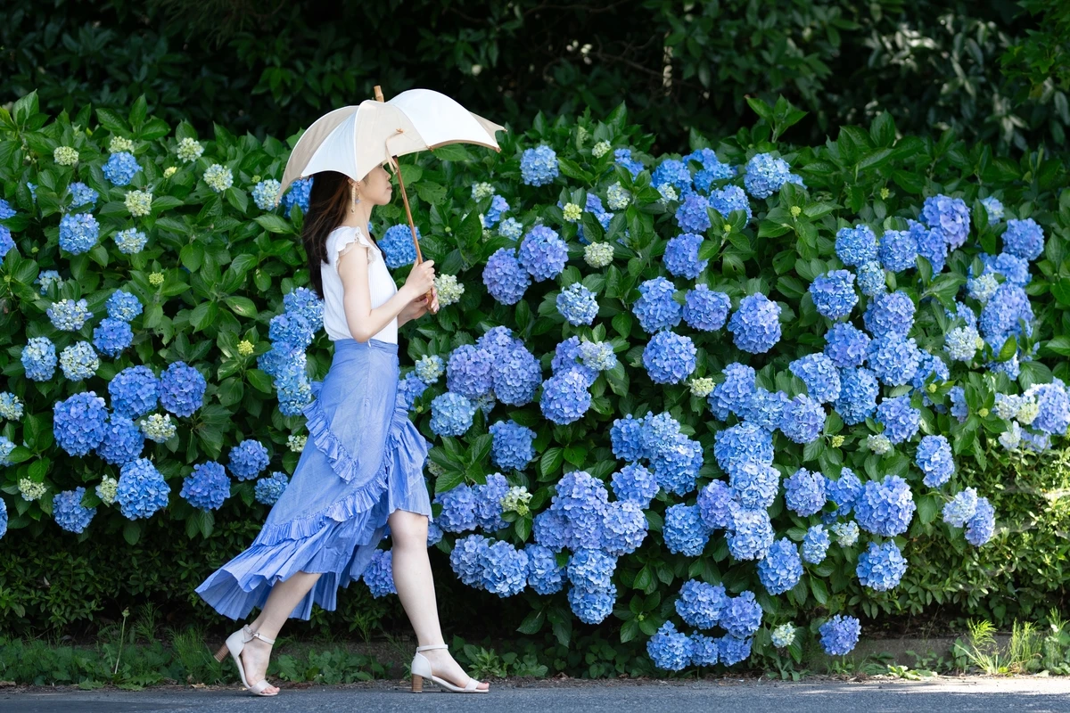 美容と健康のナチュアプレス