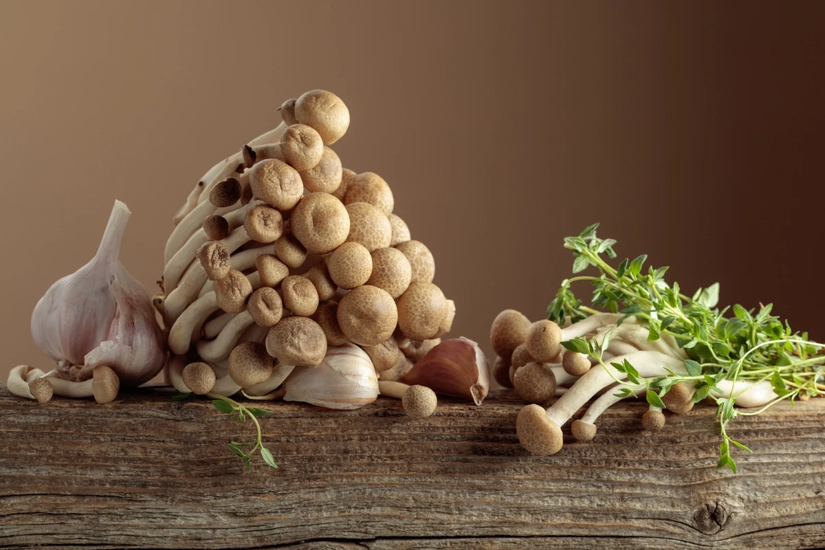 美容と健康のナチュアプレス