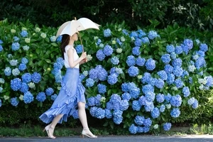 梅雨のおでかけが快適になる持ち物リスト