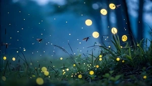 6月ならでは！梅雨に楽しみたいおでかけ特集