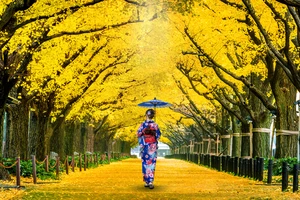 秋にととのう！関東日帰り癒し旅3選