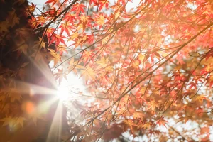 冬こそ注意！紫外線の落とし穴