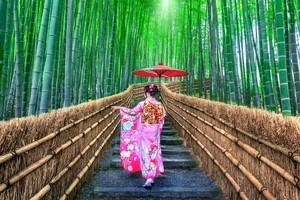 関西でととのう！秋の日帰り旅3選
