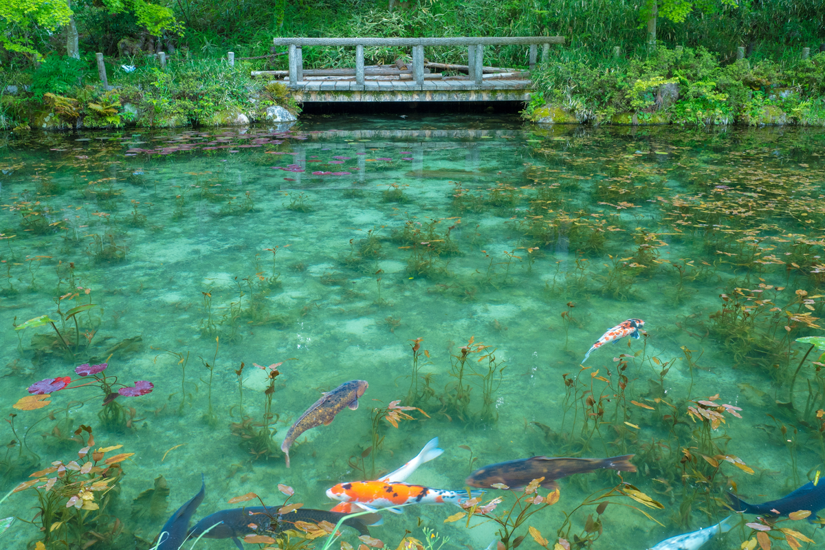 岐阜の隠れた宝石！プラネタリウム岩盤浴＆漢方薬草塩サウナが楽しめる超炭酸温泉とは？